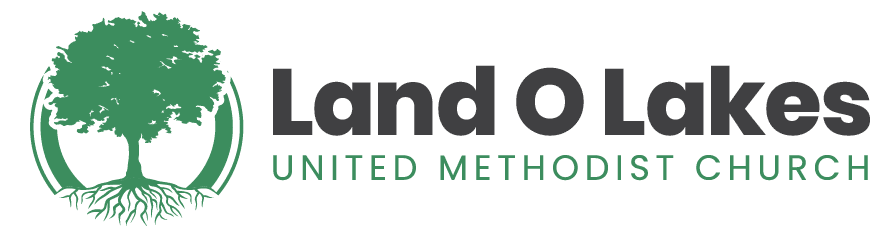 Land O Lakes UMC Logo